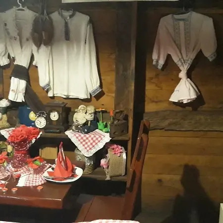 Domek letniskowy Jez Kraljevo